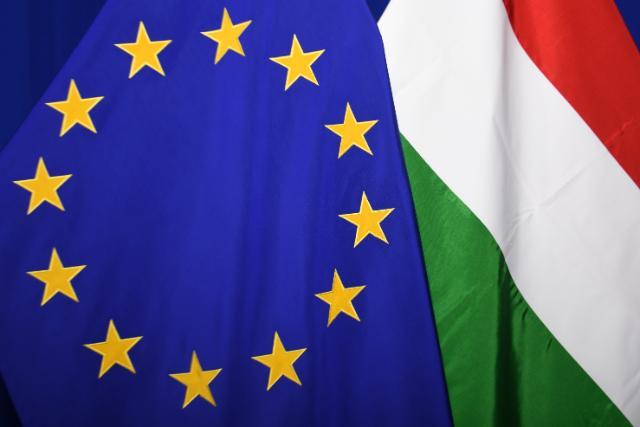 Flag of each of the EU Member States, alongside the European flag